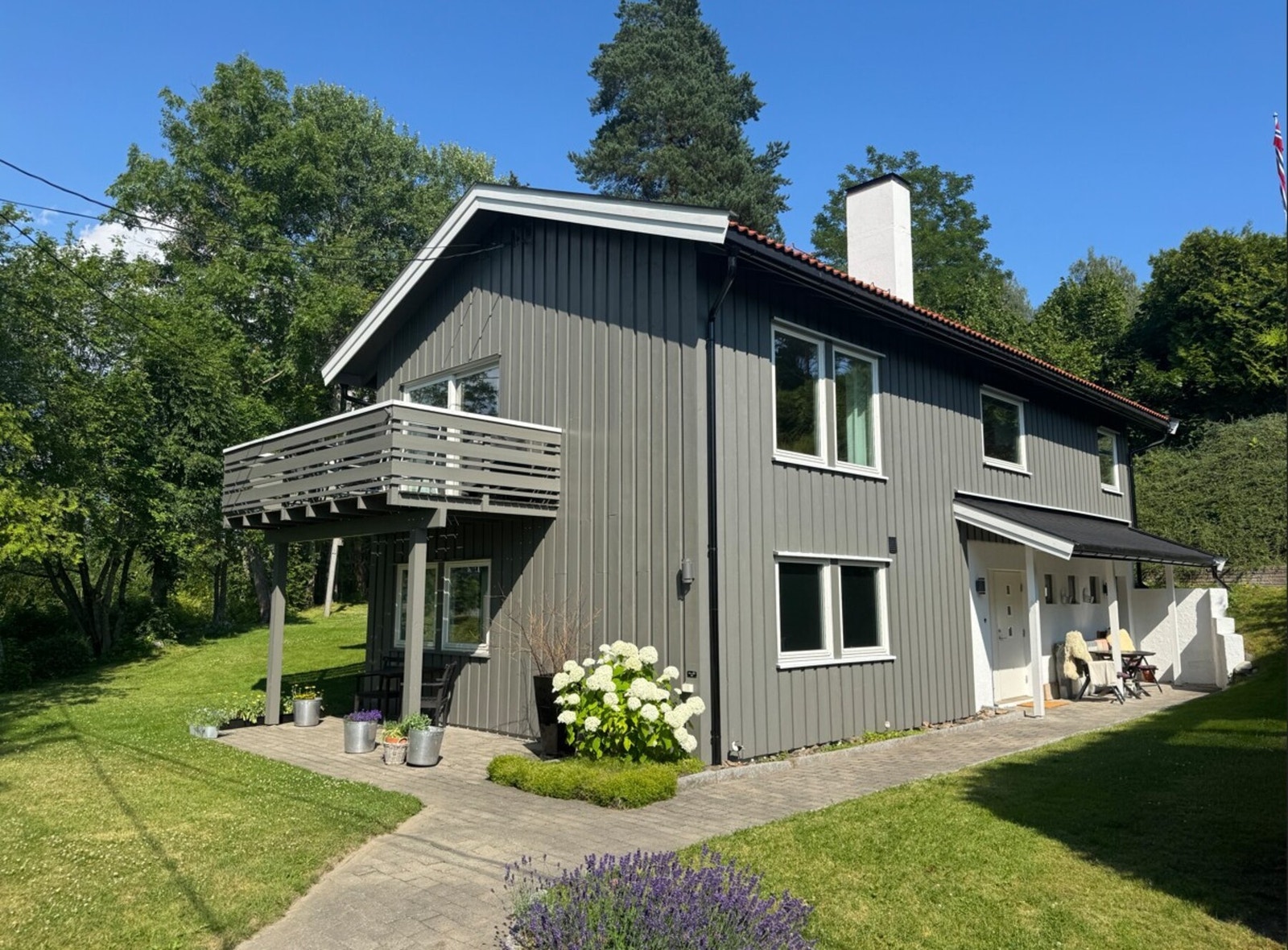 Selgers private sommerbilde. Galleribilde