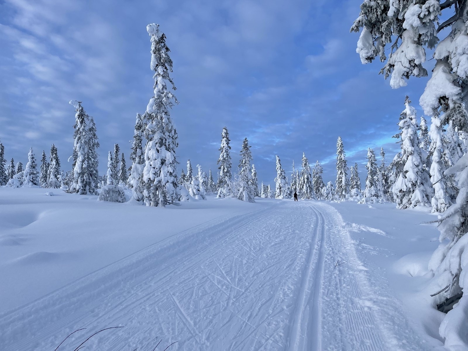 Skiløyper rett utenfor døren i nydelige omgivelser. Galleribilde