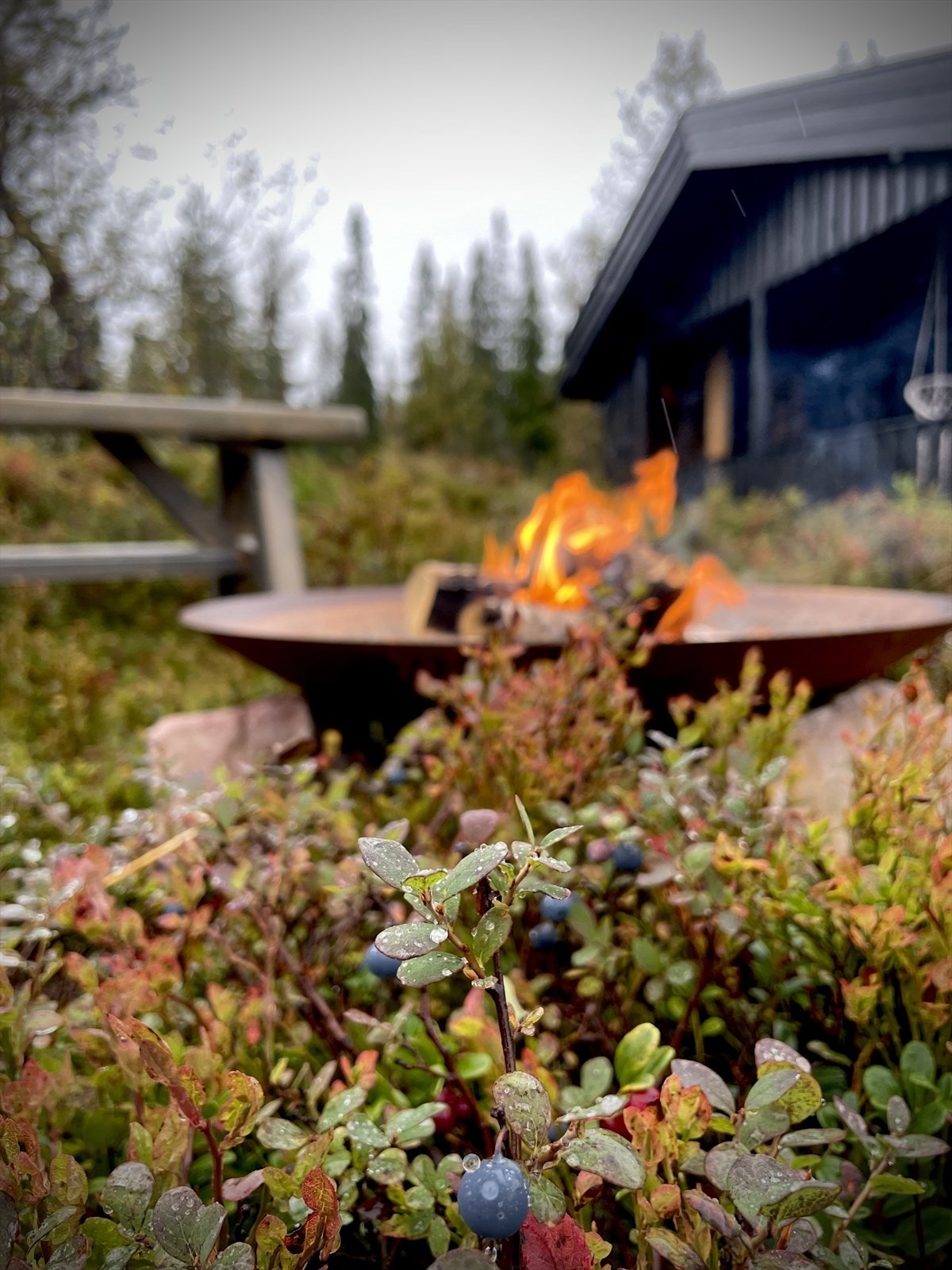 Uteområdet i sommerhalvåret. Galleribilde