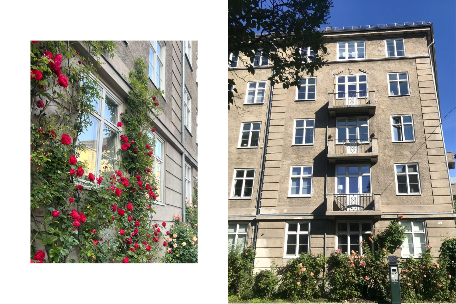 Fasade sommer - selgers private bilder. Galleribilde