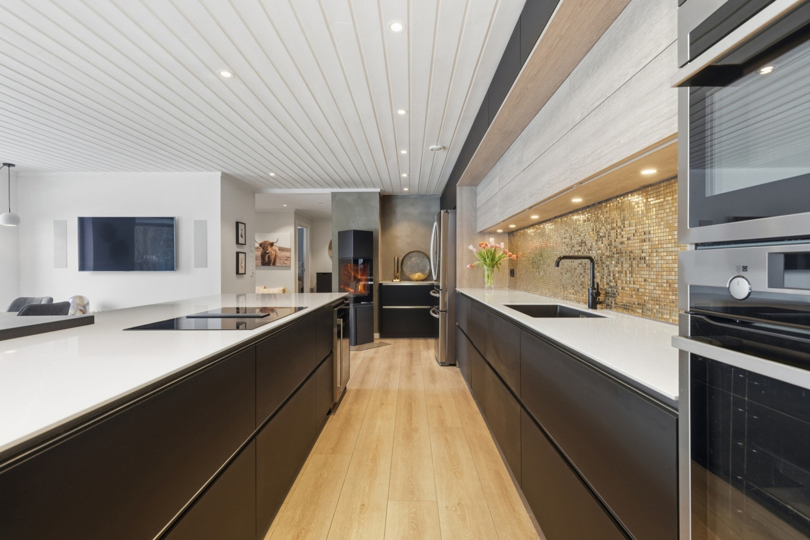 Integrerte hvitevarer Galleribilde