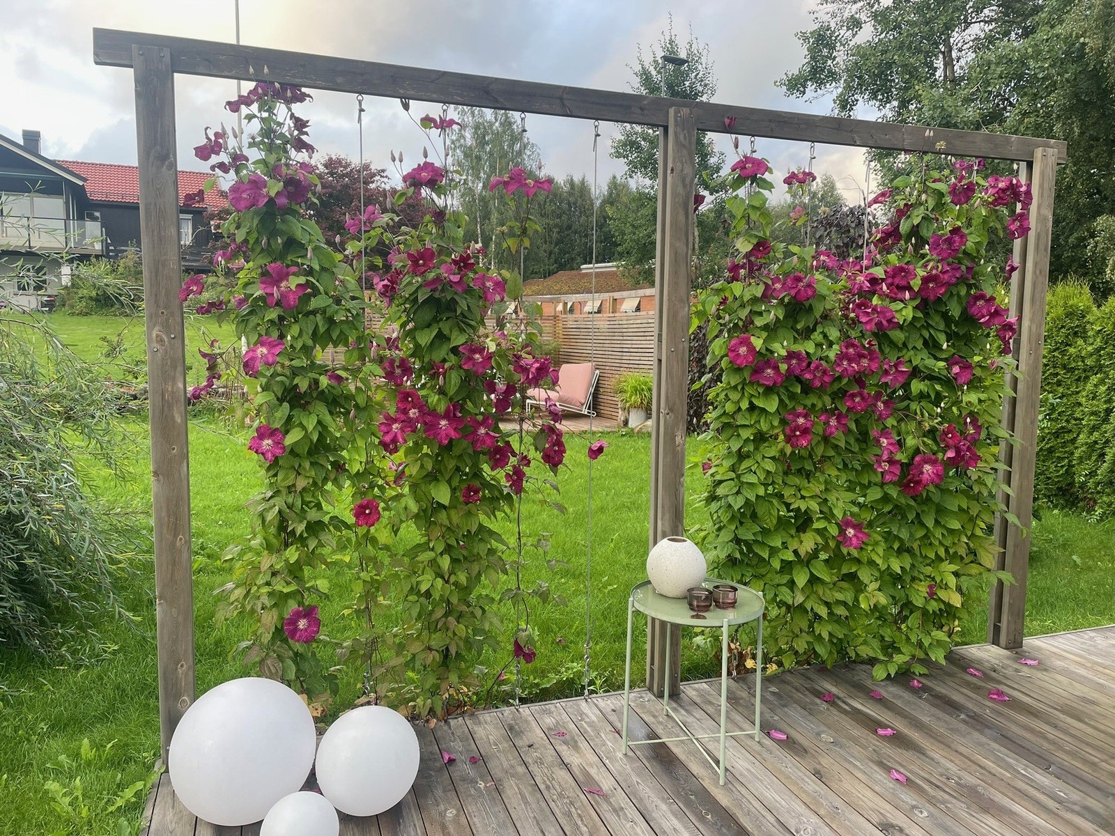 Pent opparbeidet og beplantet (eiers foto) Galleribilde