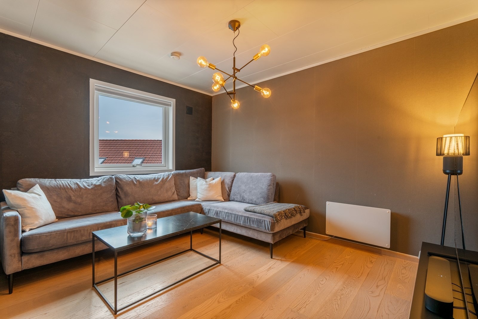 TV-stue Galleribilde