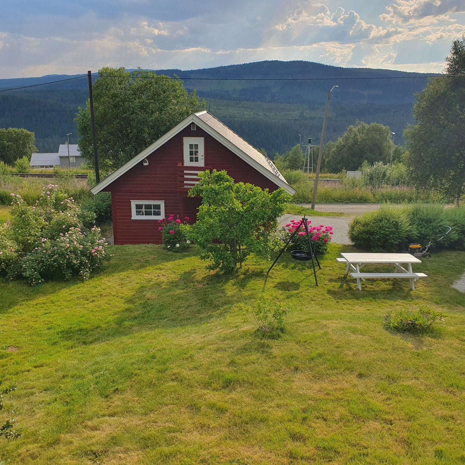 Bilde tatt av selger Galleribilde