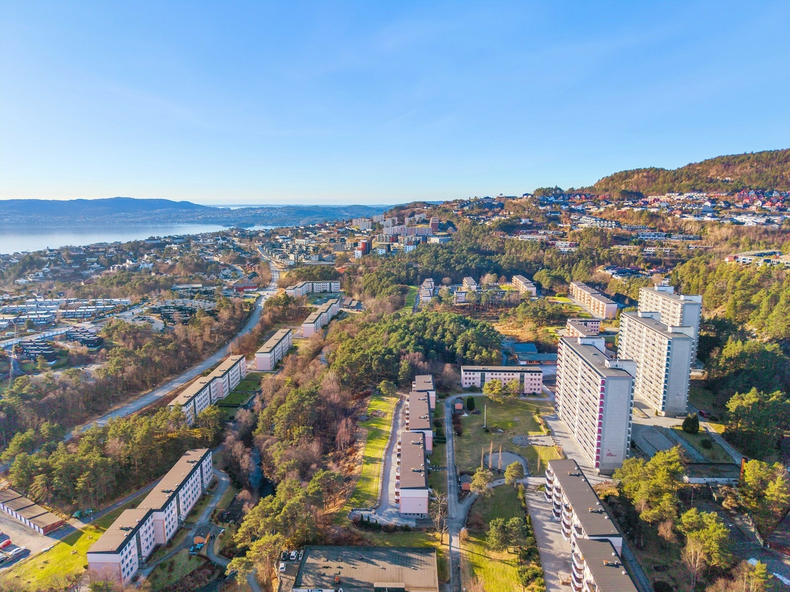 Husk påmelding til visning! Galleribilde