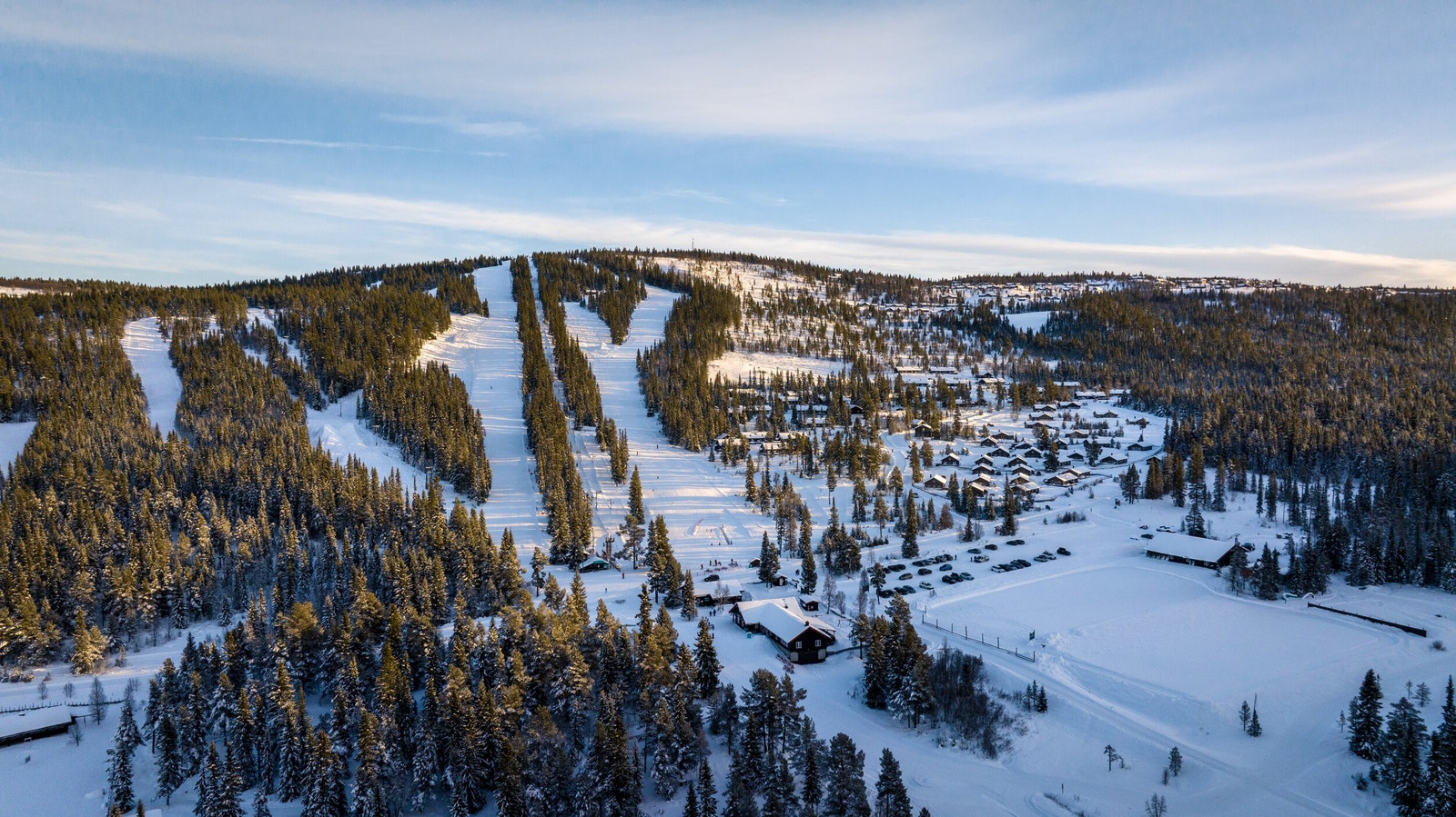 Blåbærfjell Galleribilde