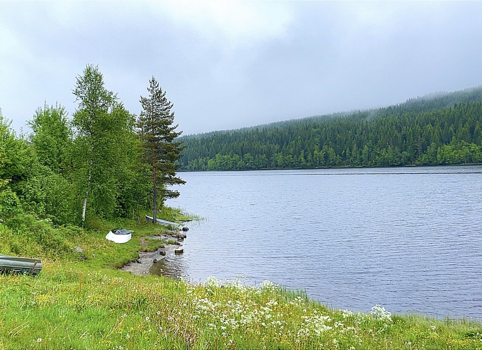 Idyll ved Ringsjøen! Privat bilde. Galleribilde