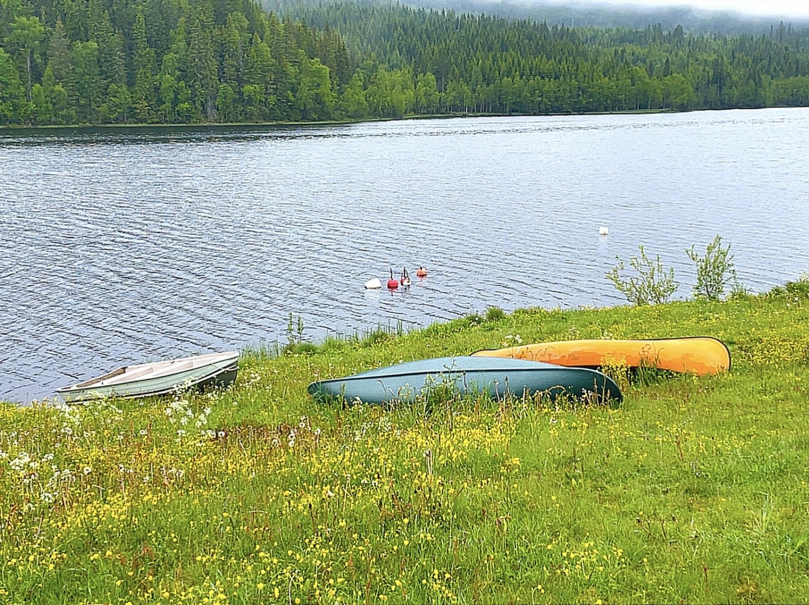 Kort veg til Ringsjøen med flotte bade- og fiskemuligheter! Privat bilde. Galleribilde