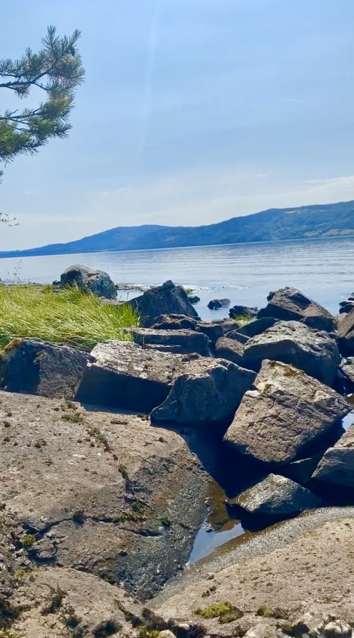 Nedefor huset mot syd, sommer. Privat foto Galleribilde