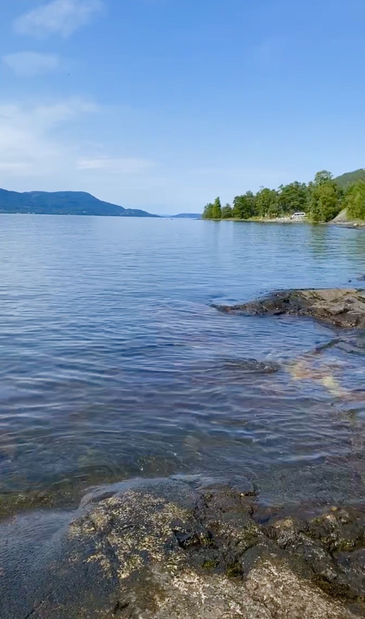 Nedefor huset mot nord, sommer. Privat foto Galleribilde