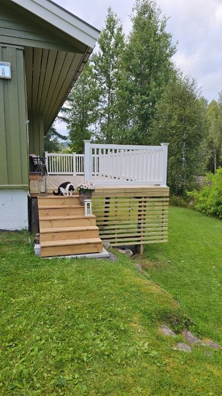 Her koser selv pus seg i sommervarmen! Galleribilde