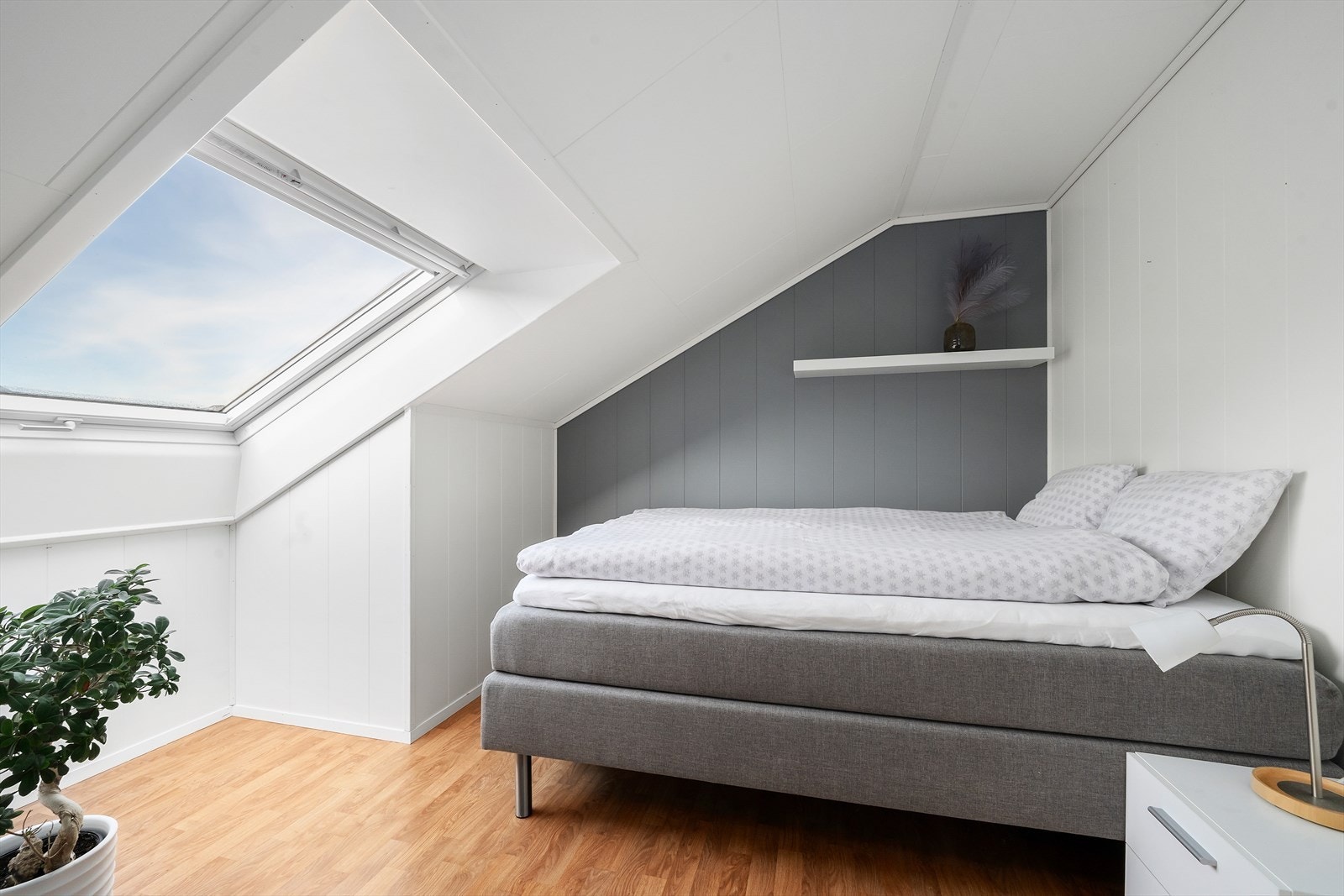 Fin utsikt frå senga her. Galleribilde