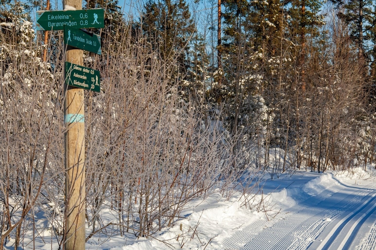 Fantastiske turområder nær marka og Oslofjorden Galleribilde