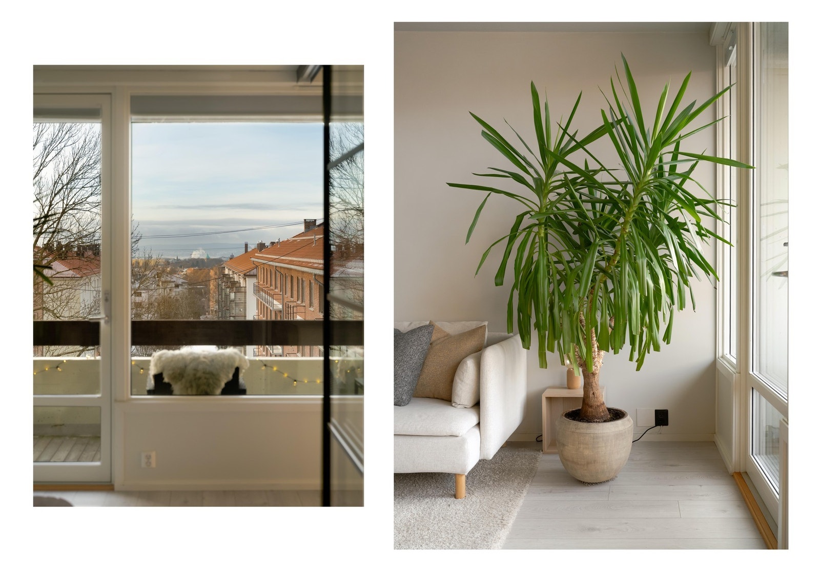 Vi snur oss og tar endelig turen ut på den fine balkongen. Galleribilde