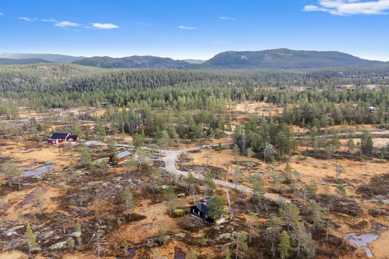 Dronefoto av området. Galleribilde