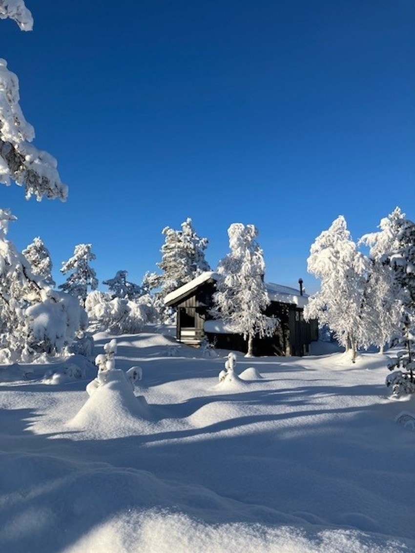 Bilde fra selger Galleribilde