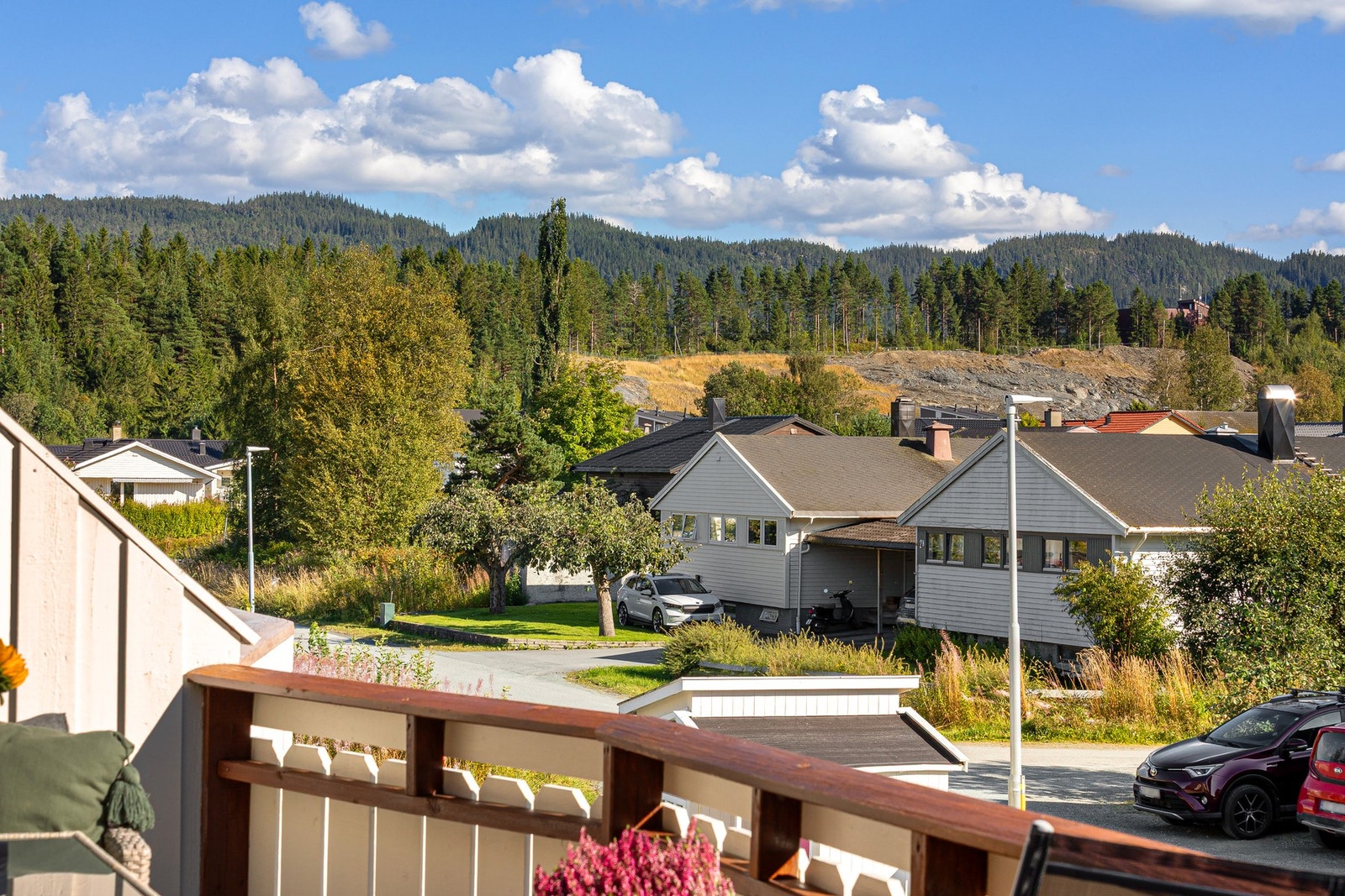 Lysløypa oppå Lauvåsen er utmerket for gåtur/skitur for både voksne, barn og firbente Galleribilde