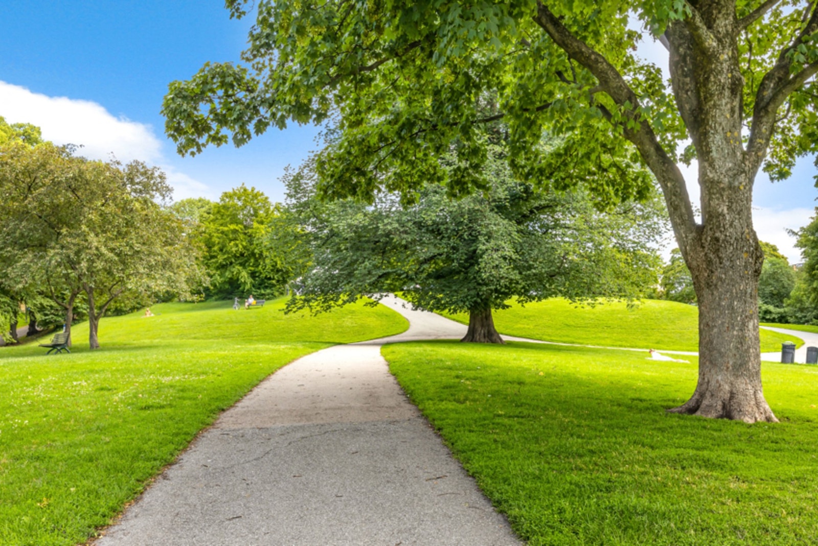 Leiligheten ligger i et område med flere parker i nærheten, her ved Stensparken som "nabo". Galleribilde