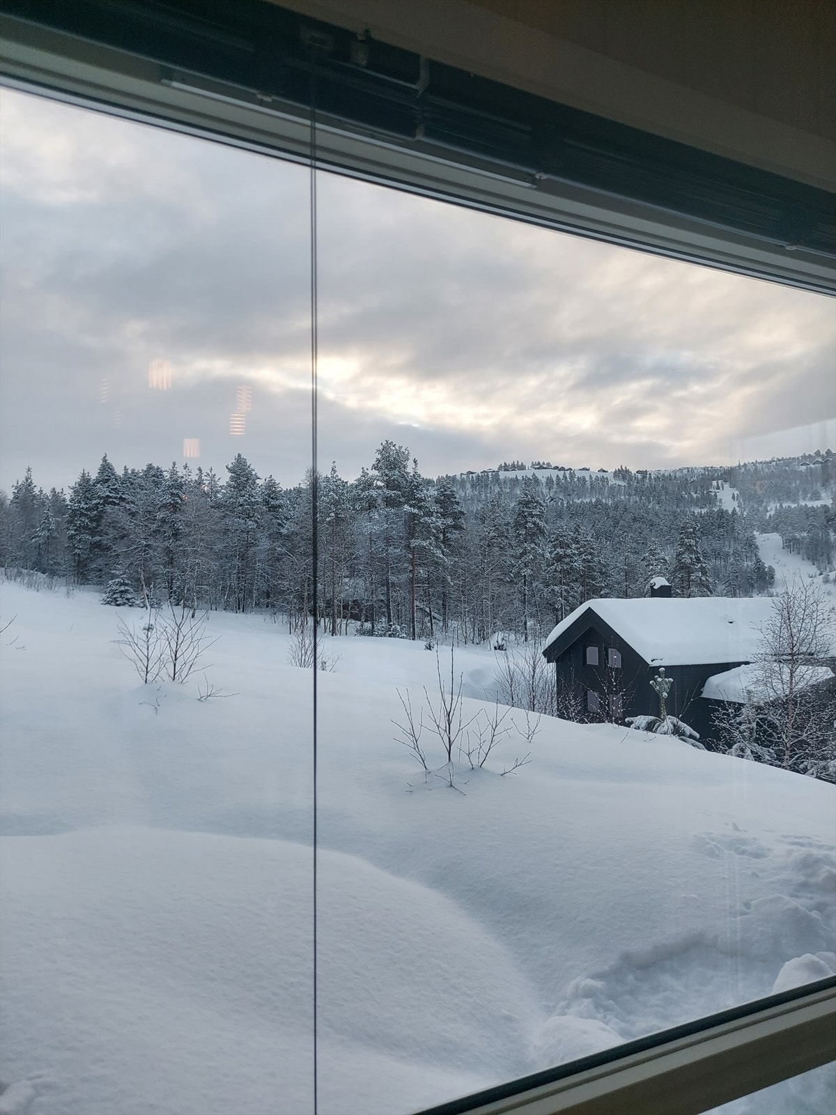 Utsiktsbilde Galleribilde