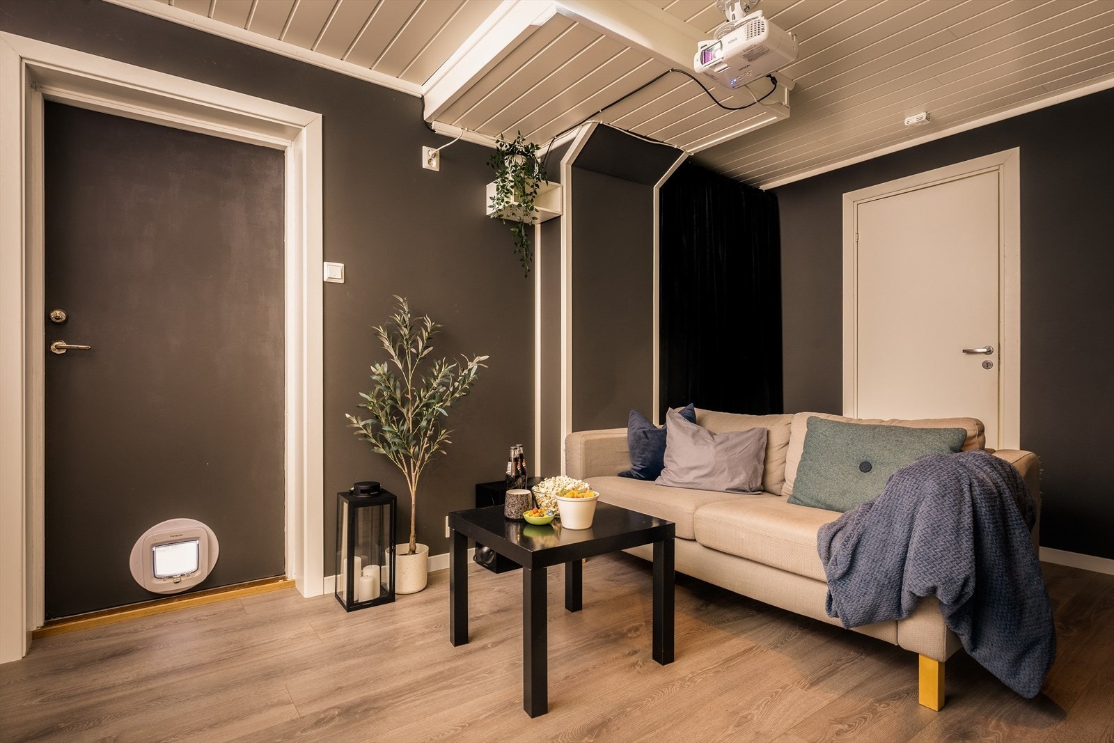 Kjellerstuen er i dag benyttet sin kinorom og er malt i en mørk nyanse. Det er kjellerinngang direkte til rommet. Galleribilde