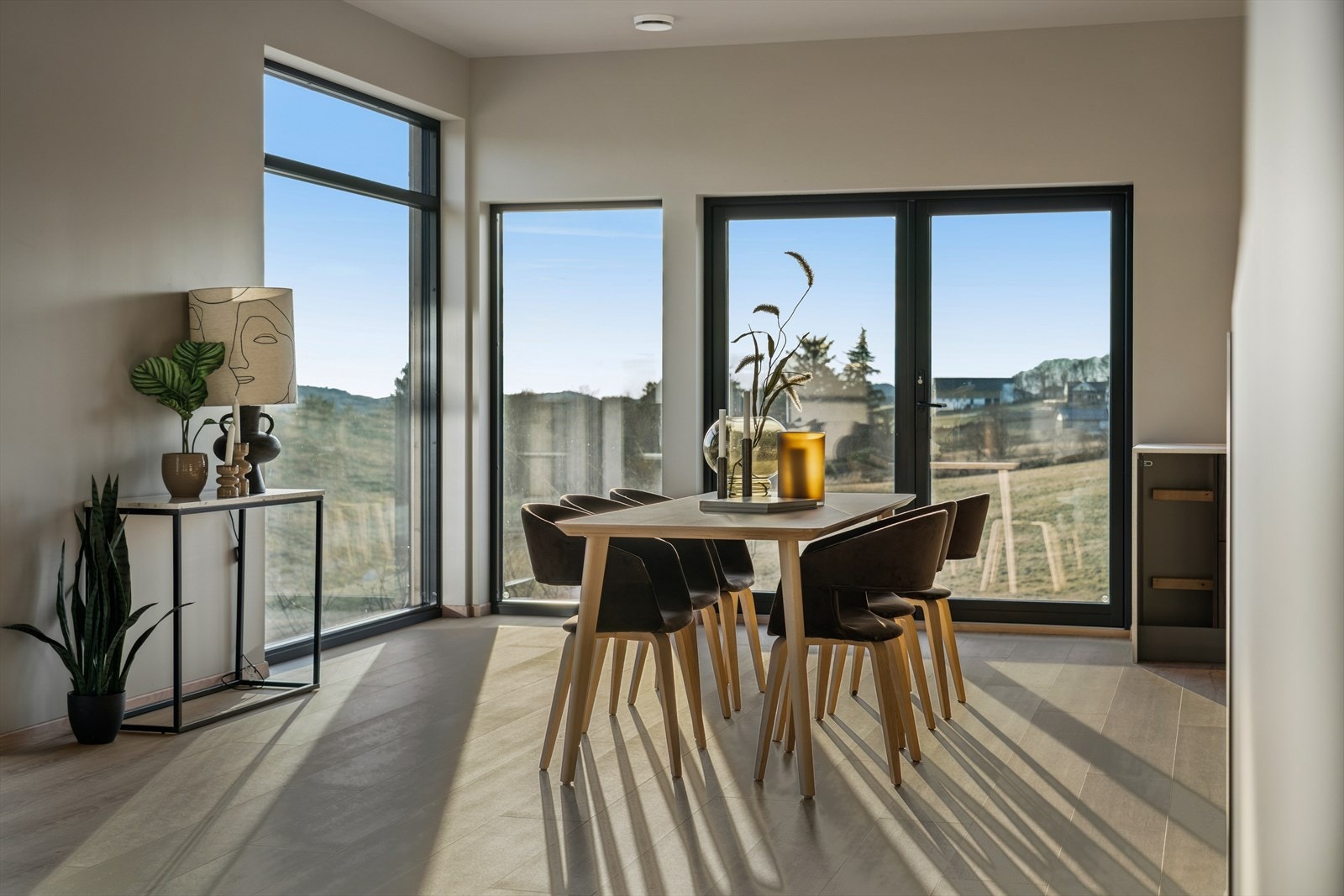 Dør som leder ut til planlagt terrasseområde (terrasse ikke oppført). Galleribilde