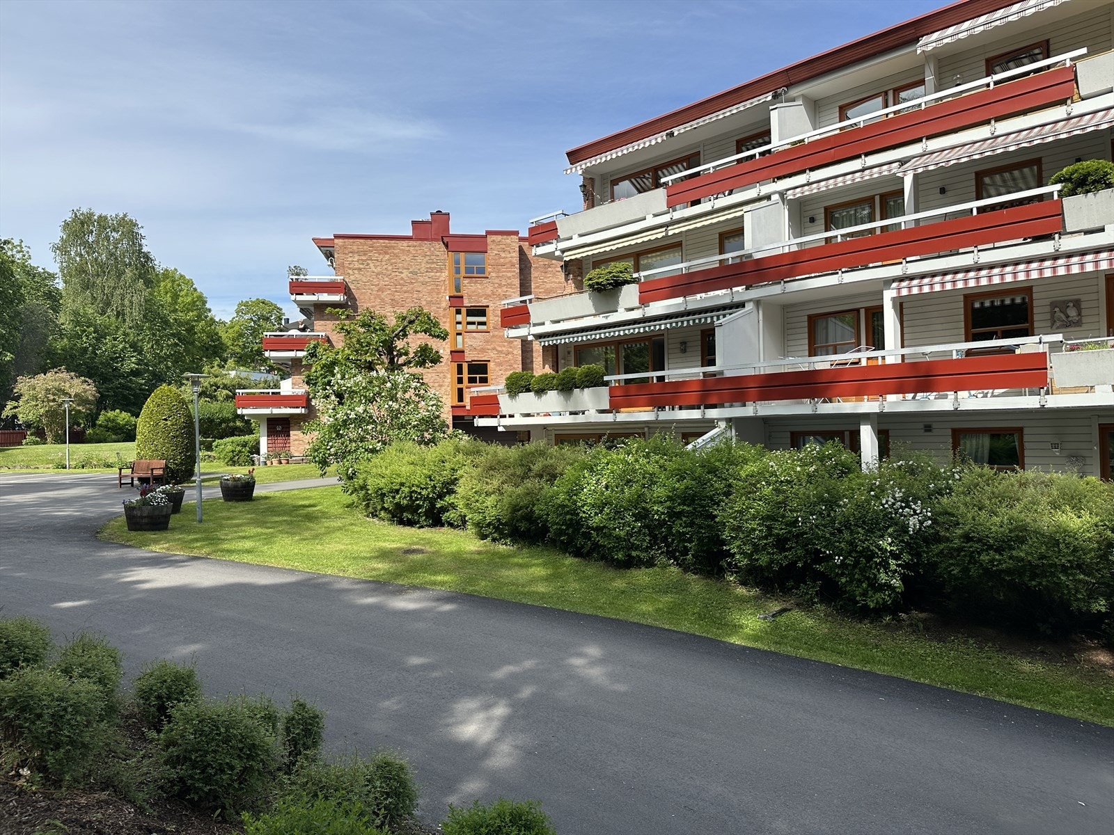 Selgers private bilde på sommerstid. Galleribilde