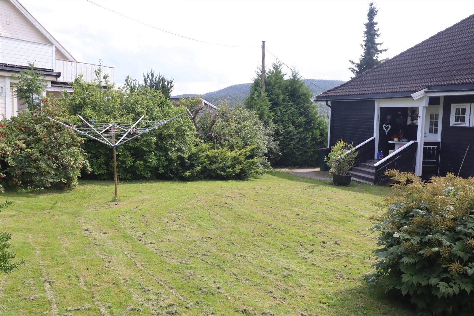 Selgers privatbilder. Galleribilde