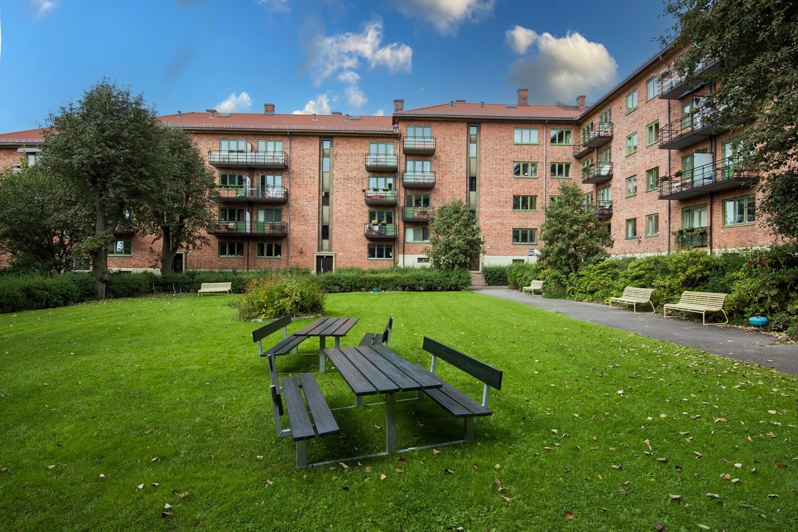 Sommerbilde fra idyllisk felles hage Galleribilde