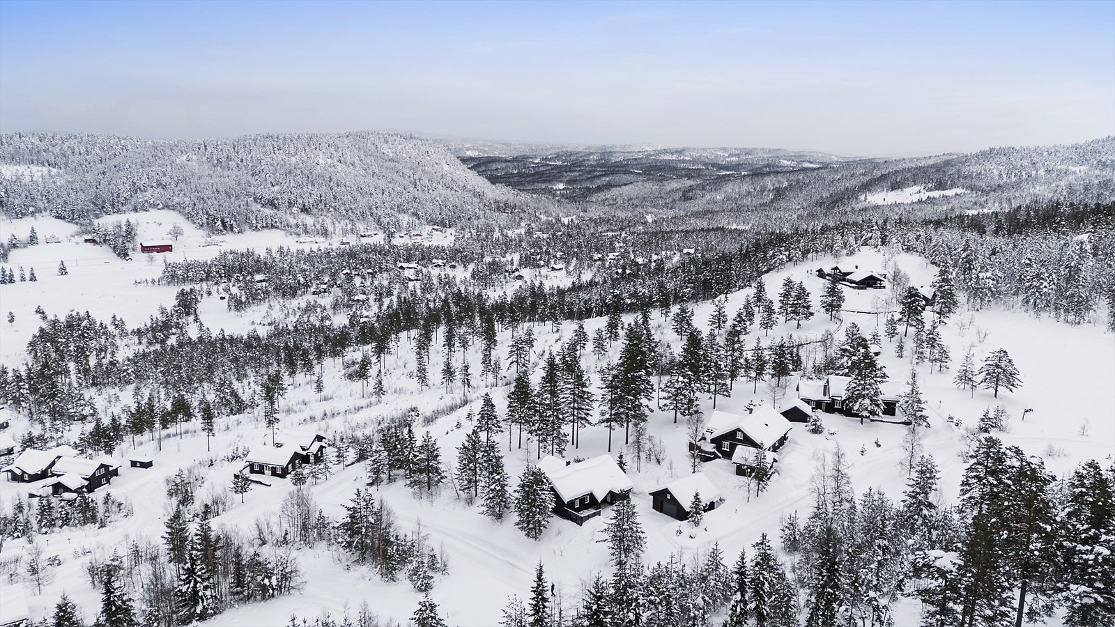 På vinterhalvåret kan du ta på deg skiene og gå rett ut i ferdigoppkjørte løyper like i nærheten. Galleribilde