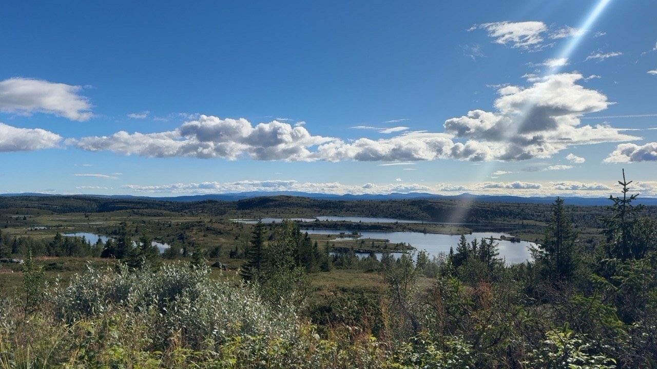 Privat bilde. Galleribilde