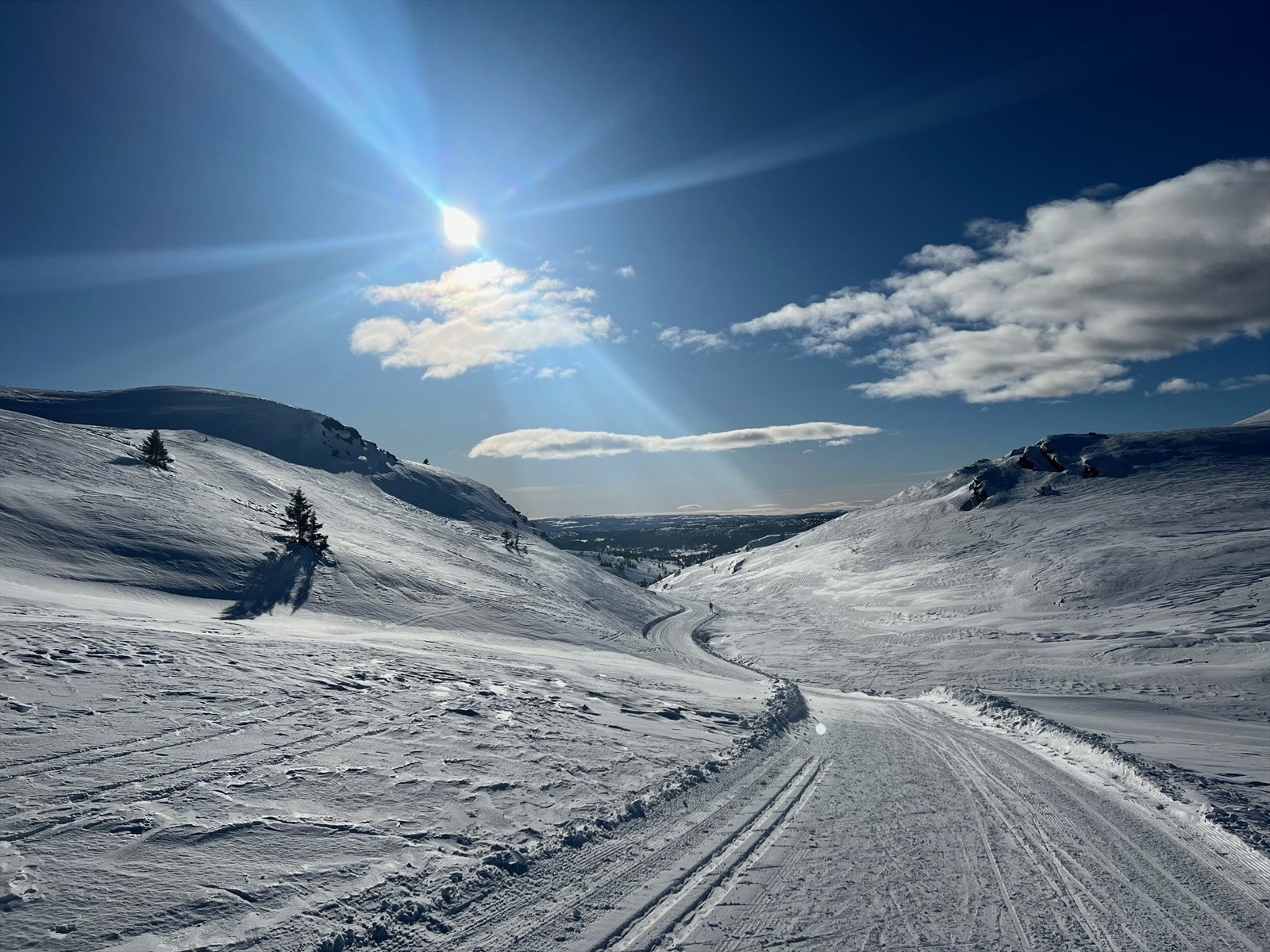 Privat bilde. Galleribilde