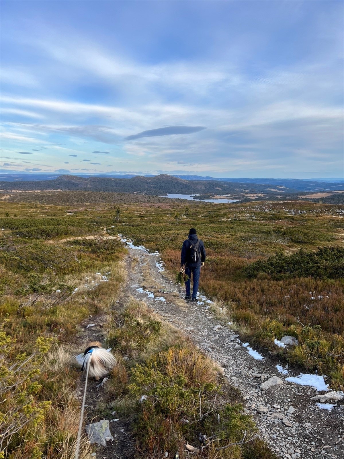 Privat bilde. Galleribilde