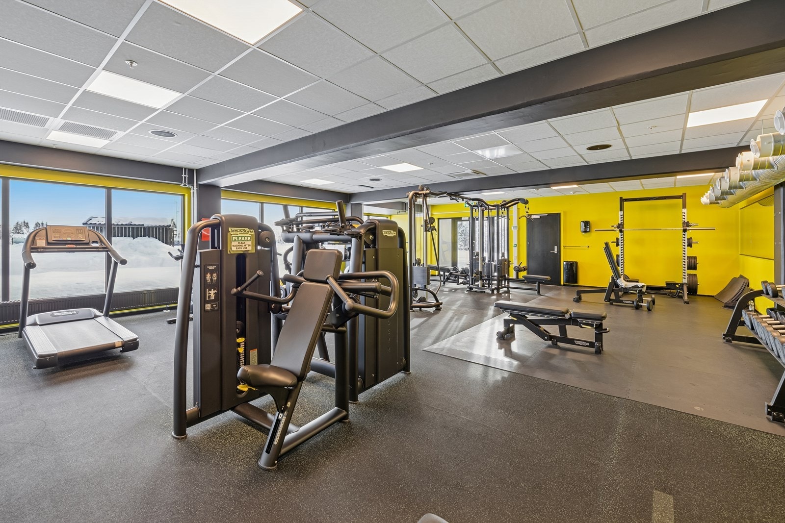 Felles treningsrom som er utstyrt med moderne treningsapparater. Galleribilde