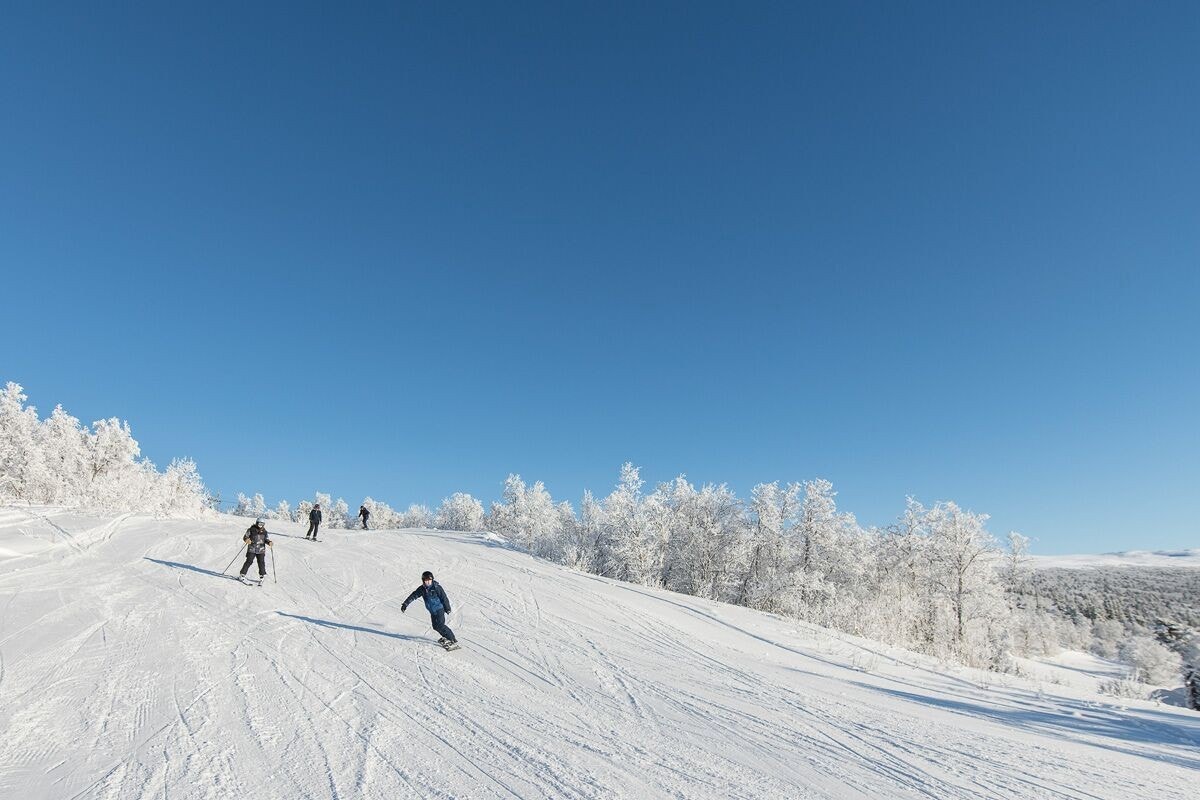 Ski in/out Galleribilde