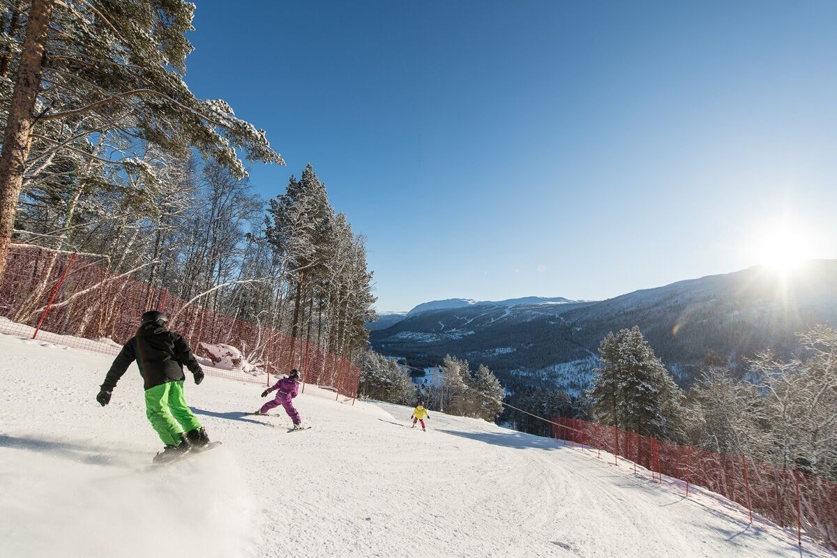 Fra toppen av fjellheisen og nedover i dalføret finner du til sammen 25 nedfarter Galleribilde