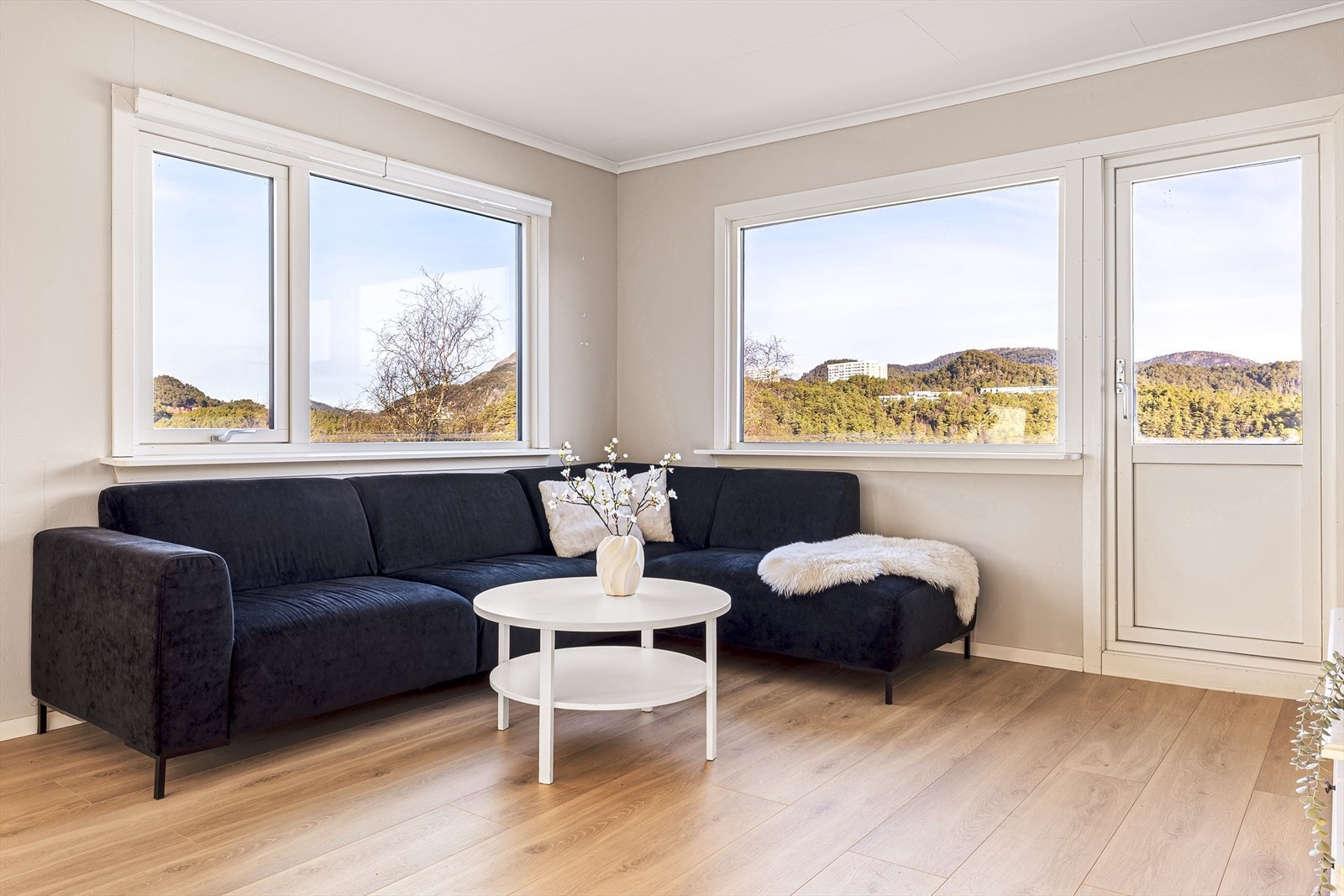 Mye vinduer gir rikelig med naturlig lysinnslipp Galleribilde