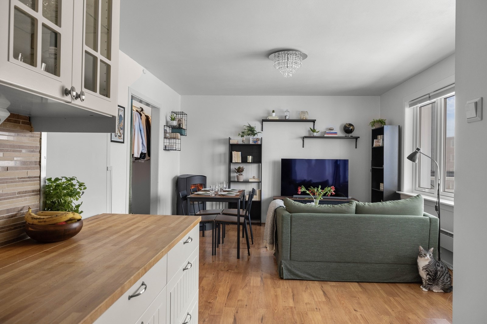 Dyrehold er tillatt borettslaget. Galleribilde