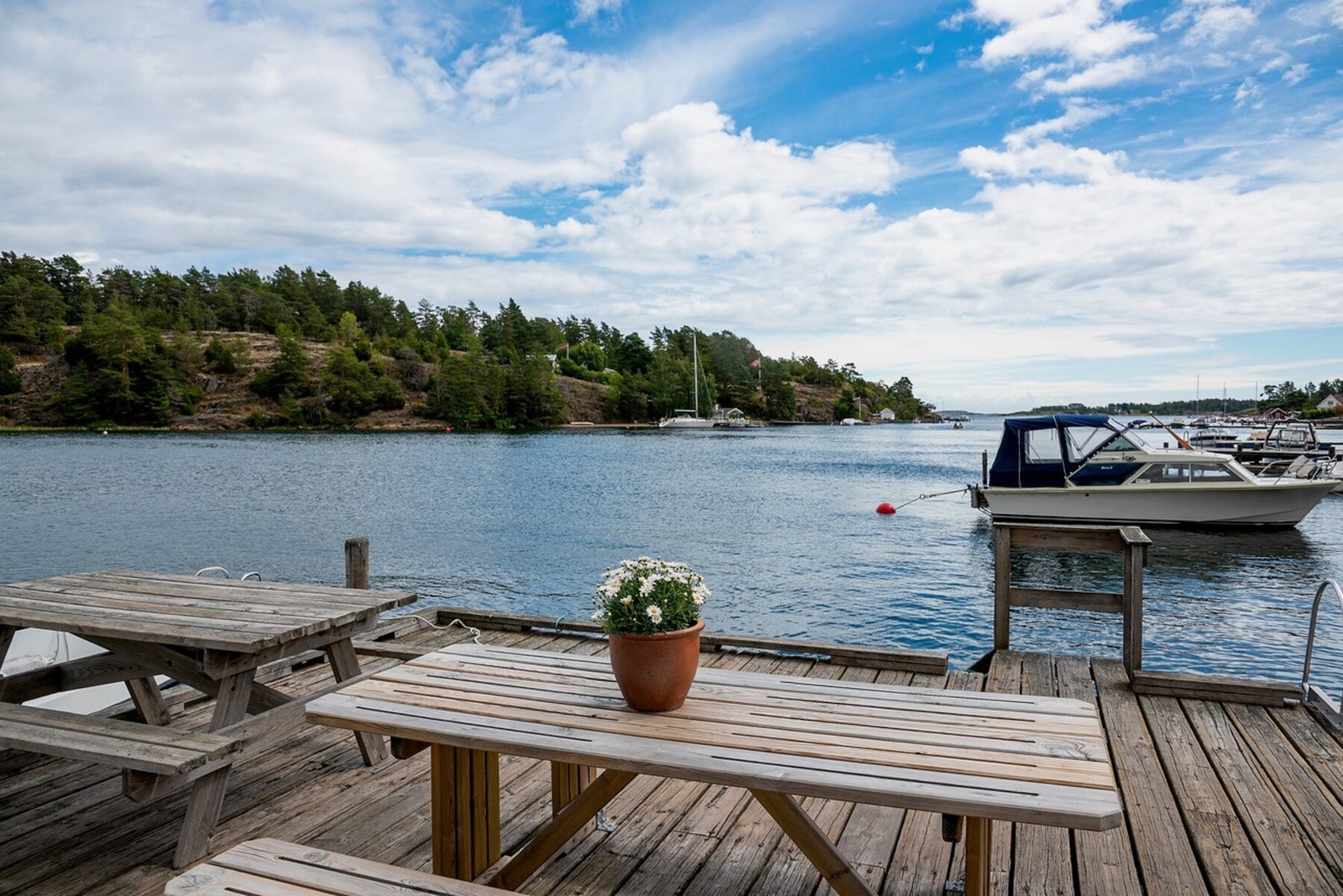 Nærområde Galleribilde