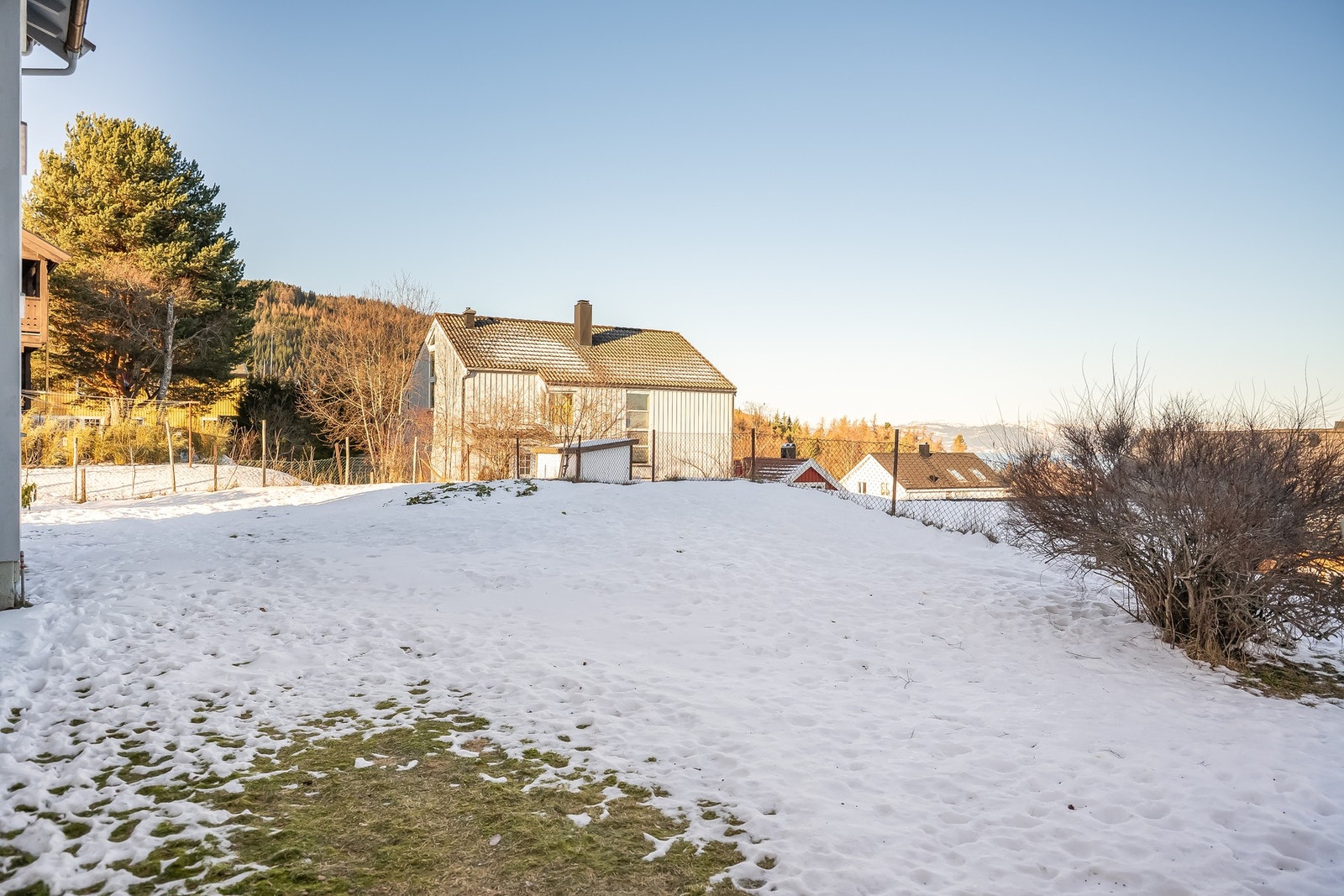 Stor og fin hage med plen og busker. Galleribilde