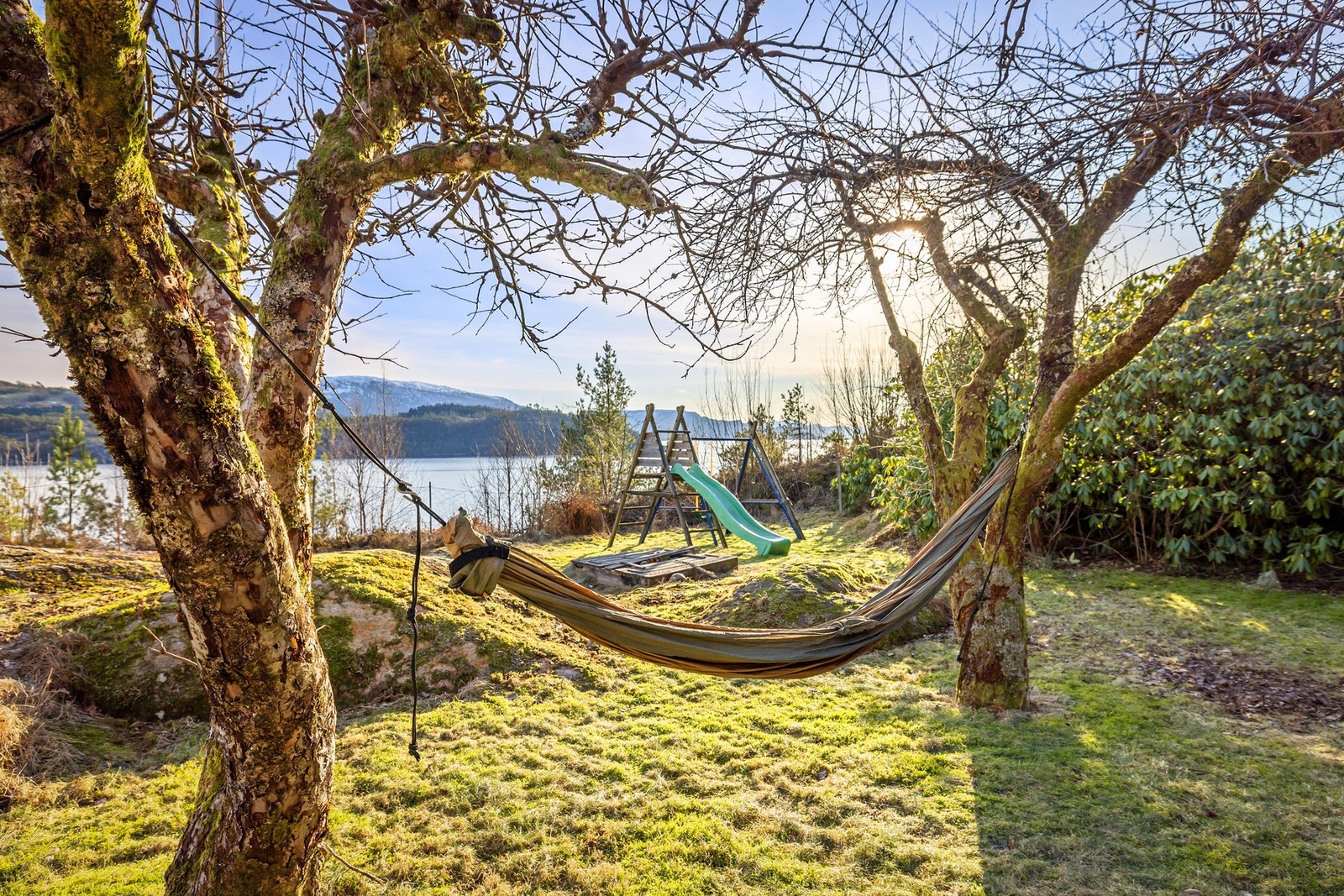 Stor hage med mye plen og beplantning Galleribilde