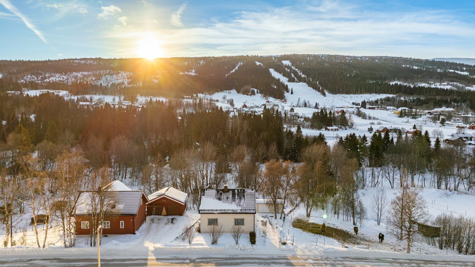 Fasade. Galleribilde