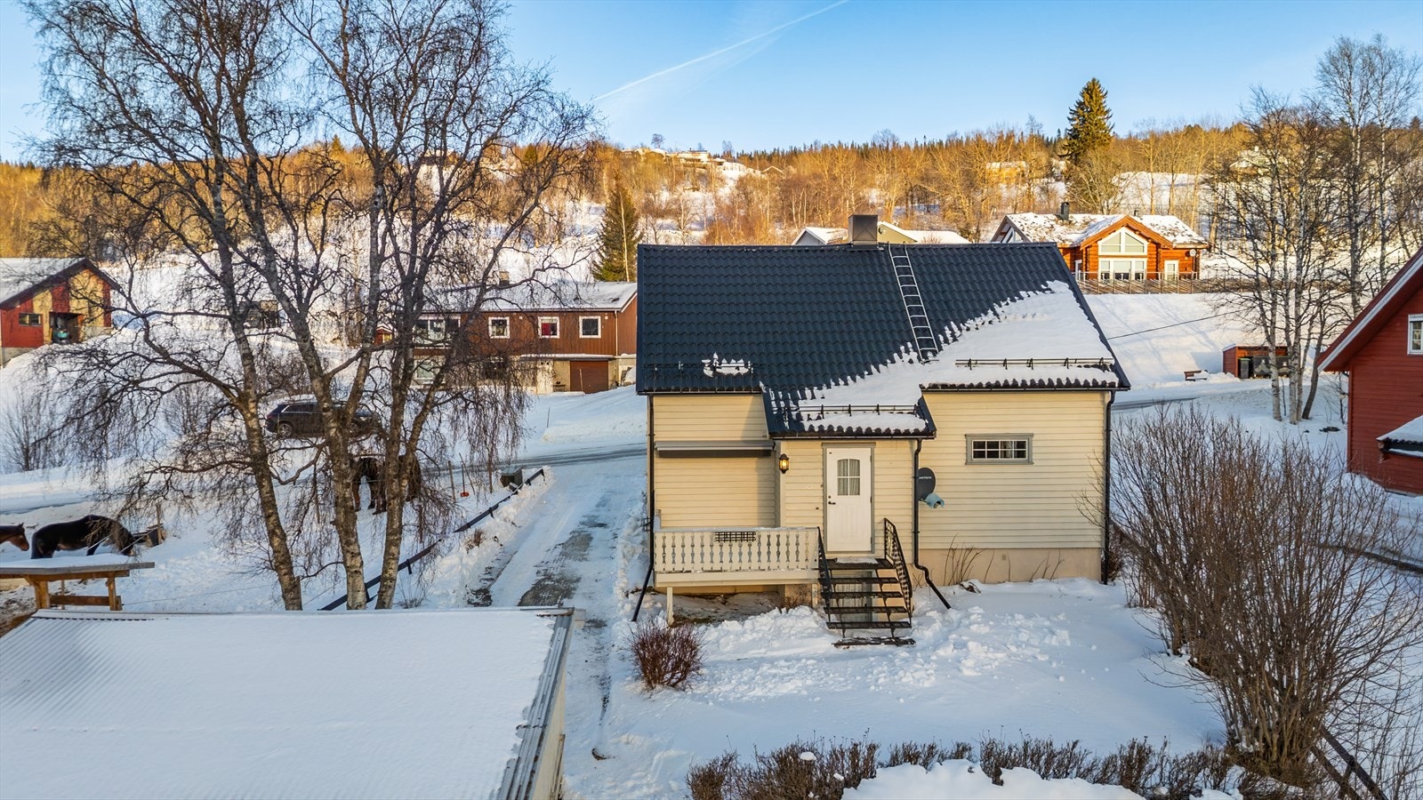 Fasade. Galleribilde