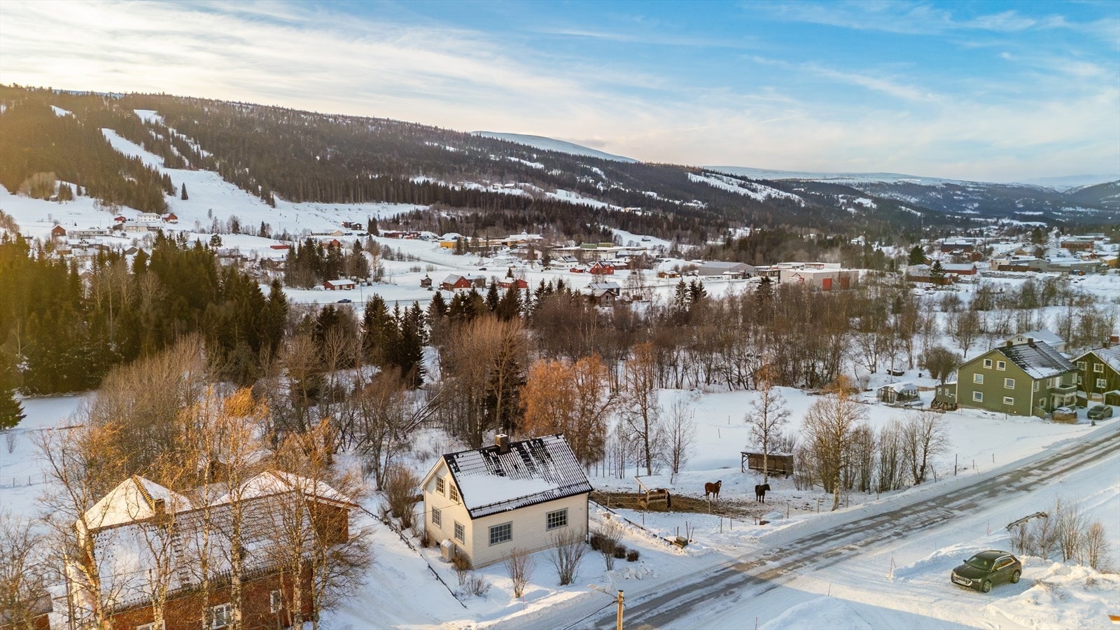 Fasade. Galleribilde