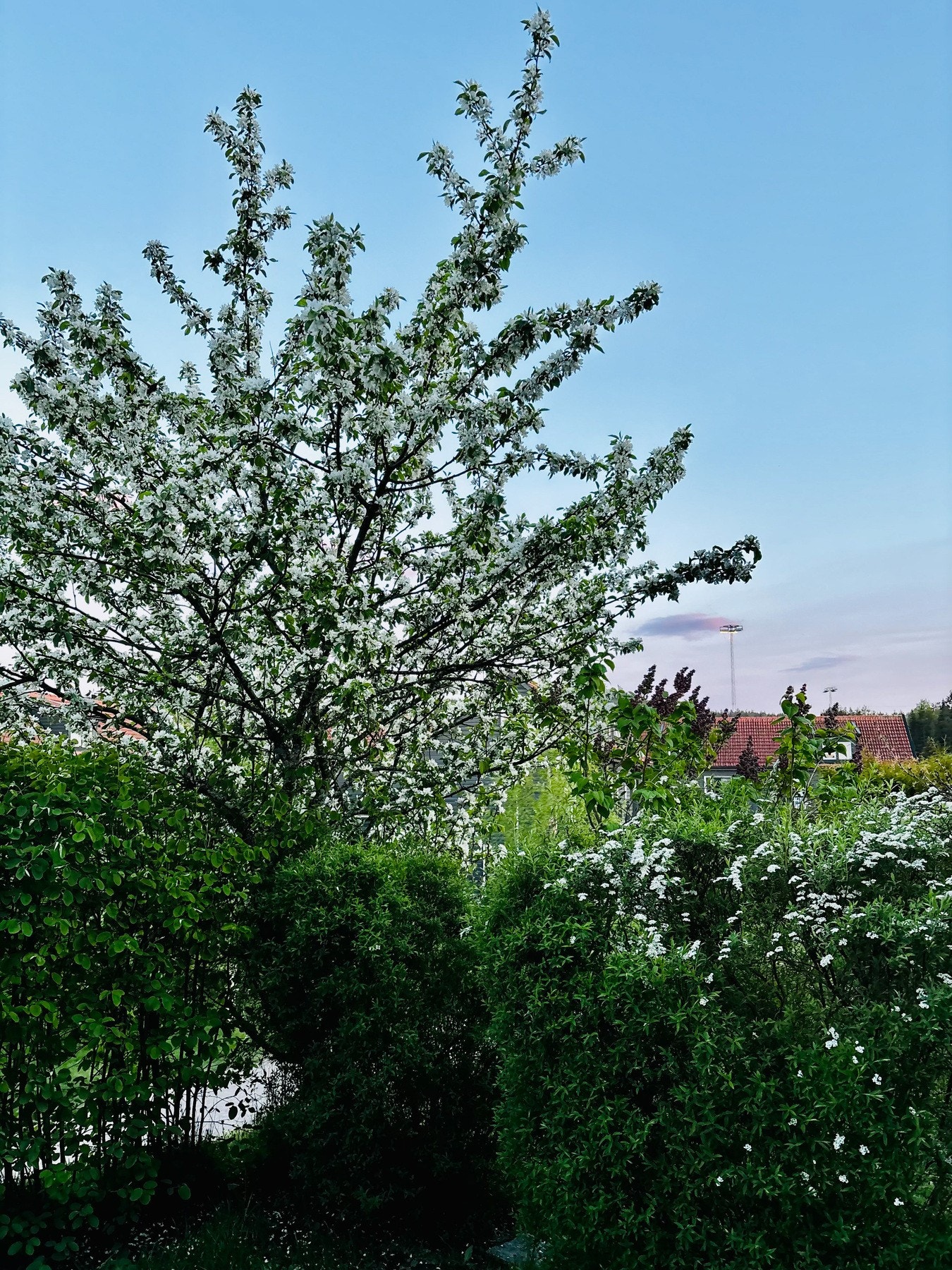 Velkommen til en hyggelig visning! Galleribilde