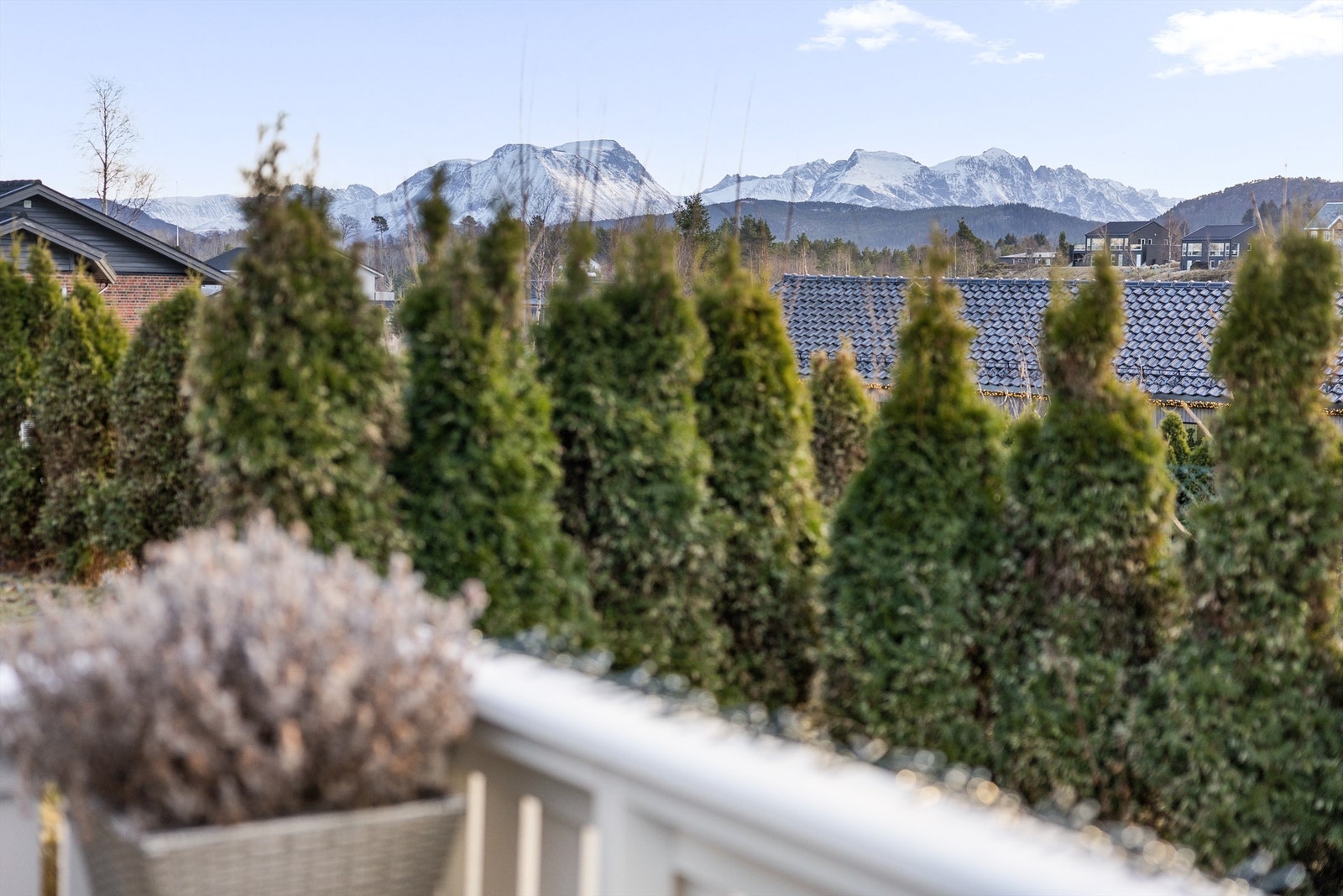 Terrasse Galleribilde