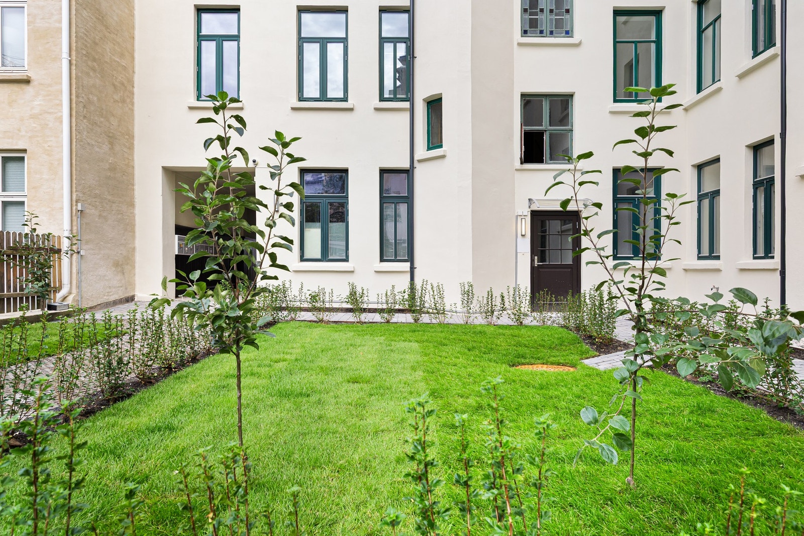 Frodig og nyanlagt bakgård. Galleribilde