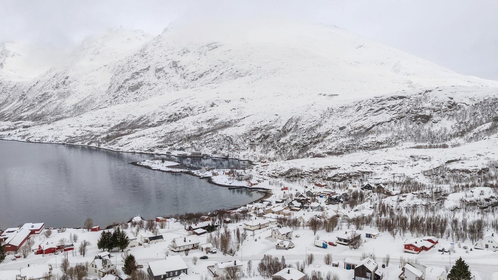 I Ersfjorden finner man bla. skole, ballbinge, barnehage, fotballbane og den populære kafeen "bryggejentene" Galleribilde
