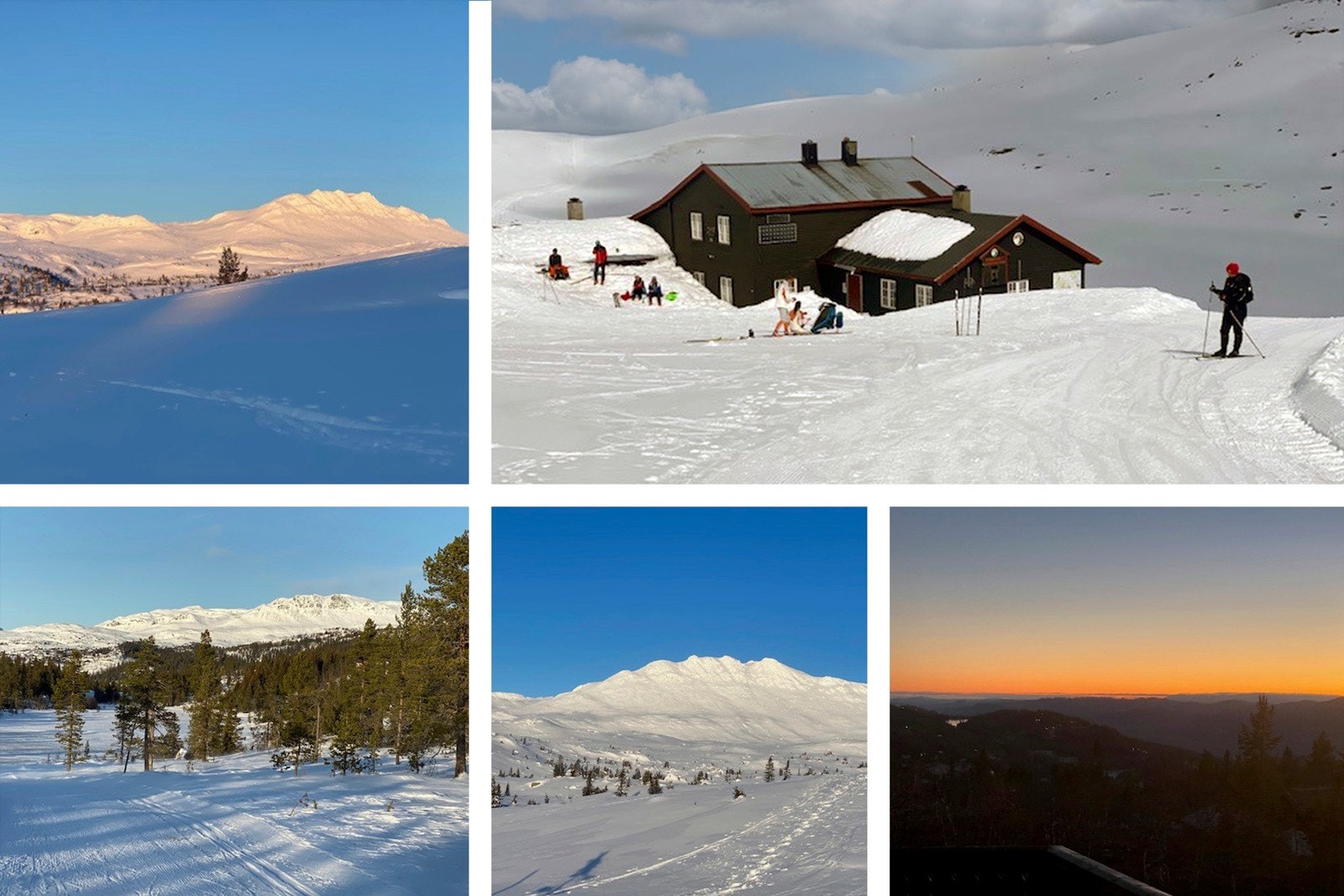 Tempelseter collage Galleribilde