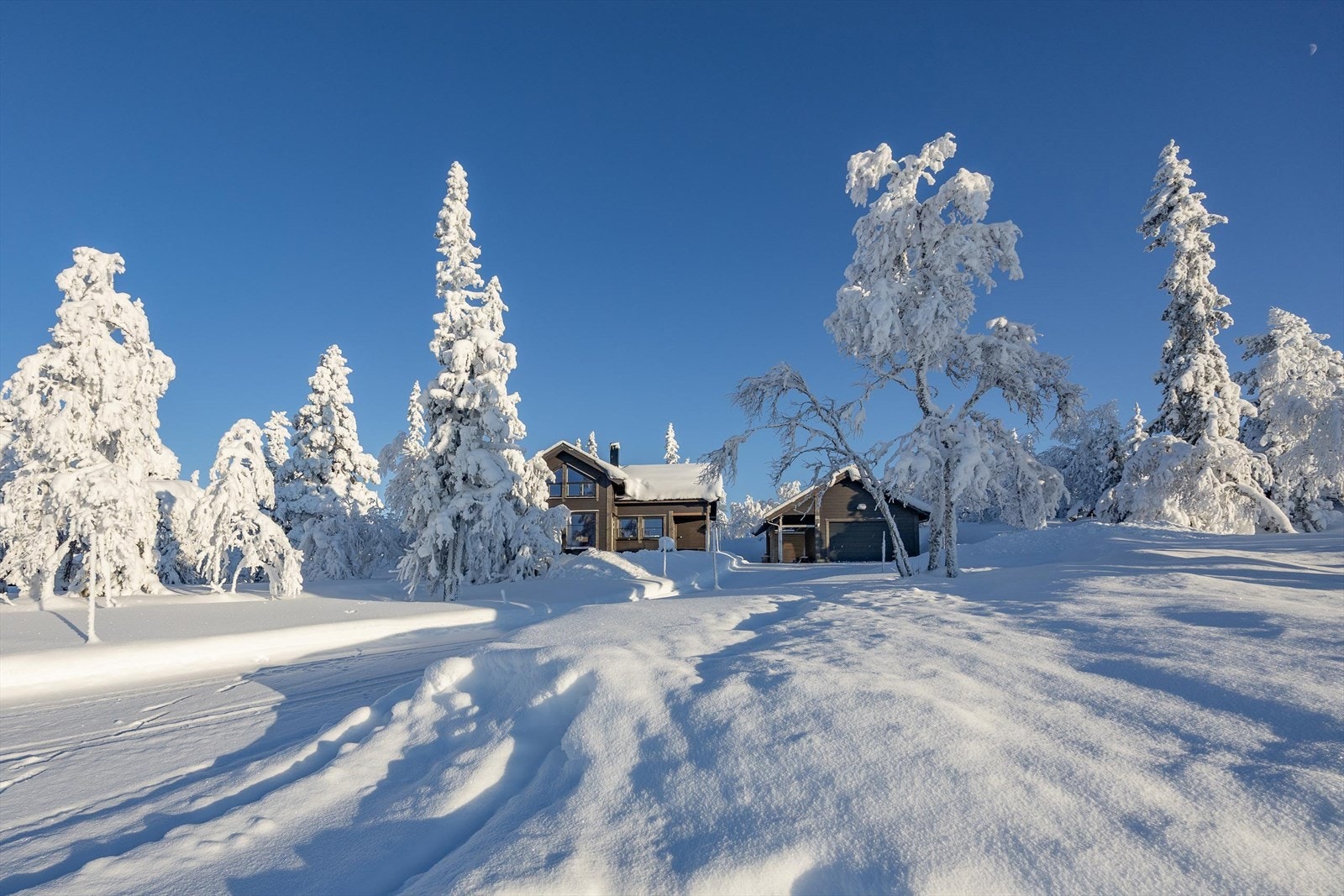 Velkommen til Renåfjellet og Orrleiken 10! Galleribilde
