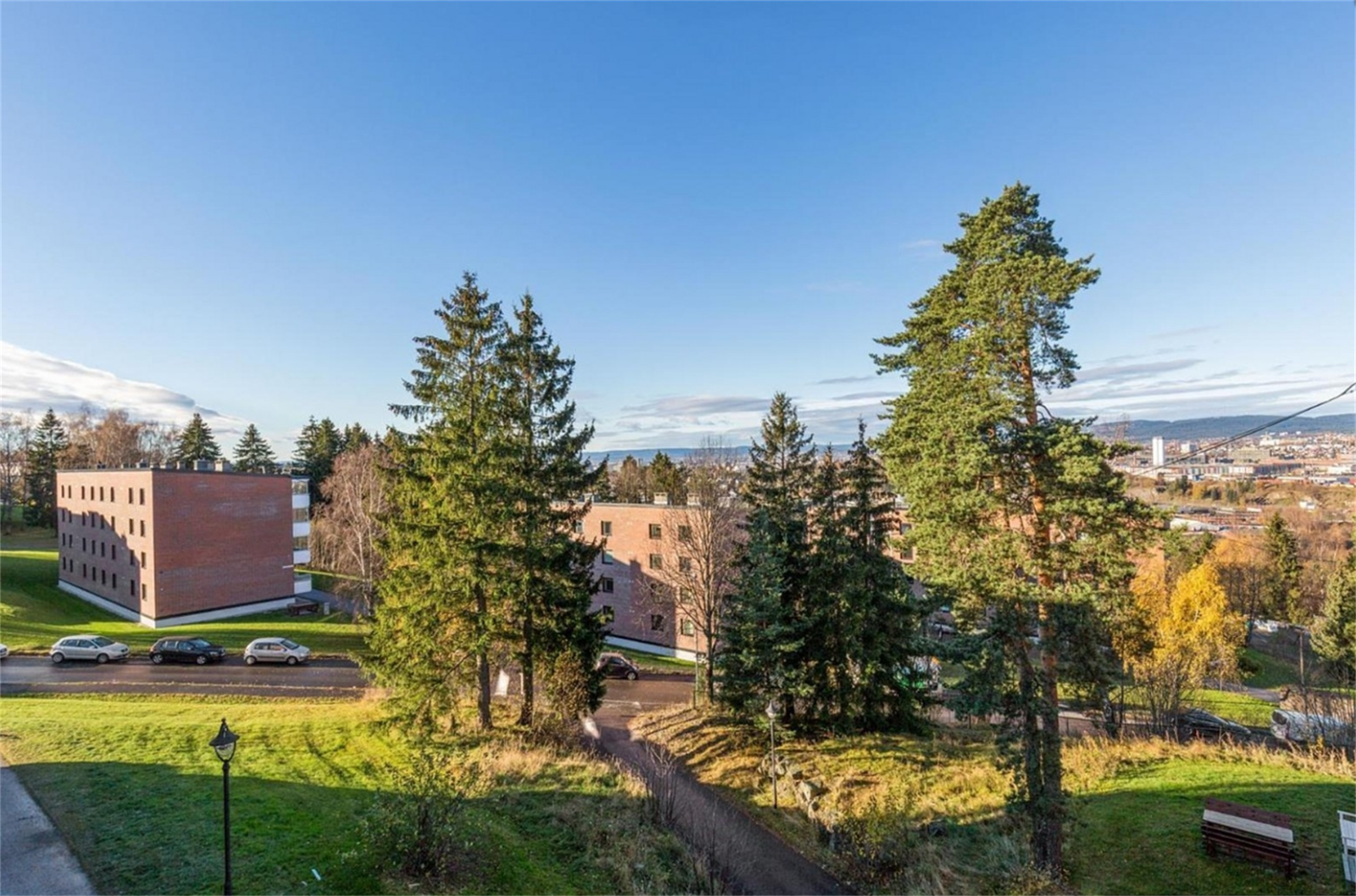 Selgers bilde. Galleribilde